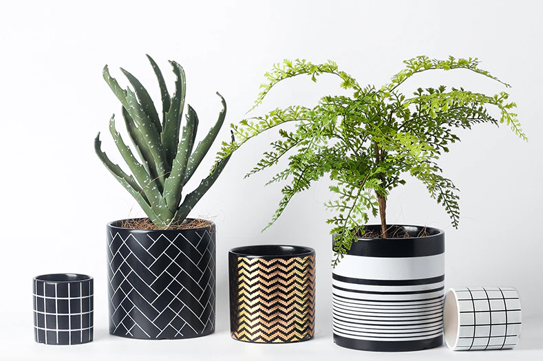 Geometric Ceramic Planter