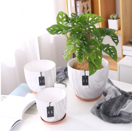 Ceramic Planter With Tray