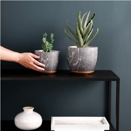 Ceramic Planter With Tray
