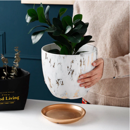 Ceramic Planter With Tray