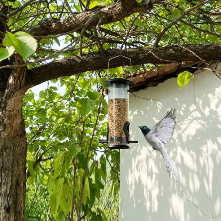 Hanging Cylinder Bird Feeder