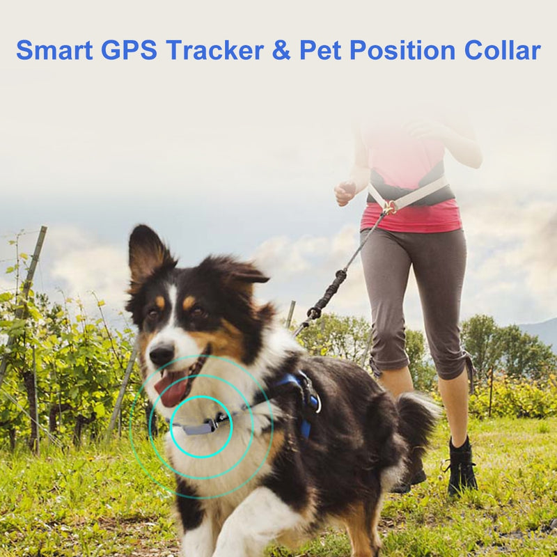 Waterproof Pet Collar, GSM, GPS, WiFi, IP67
