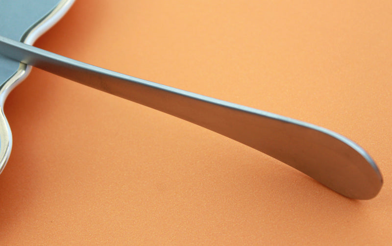 Modern Stainless Steel Cutlery Set